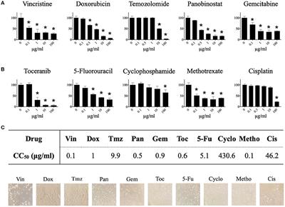 In vitro chemosensitivity of a canine tumor venereal transmissible cancer cell line